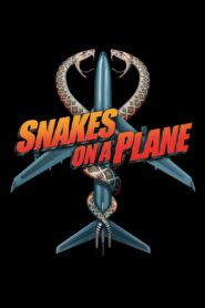 Węże w Samolocie